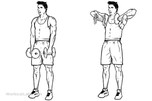 Dumbbell_Upright_Row